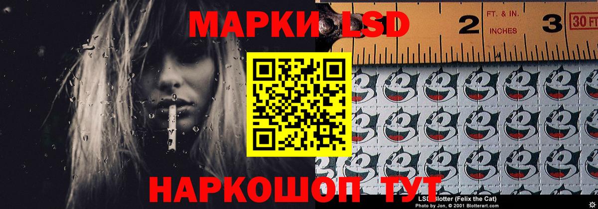 блэк спрут зеркало  Вход с VPN  ЛСД экстази  LSD-25 экстази кислота  Ногинск  ЛСД экстази ecstasy 