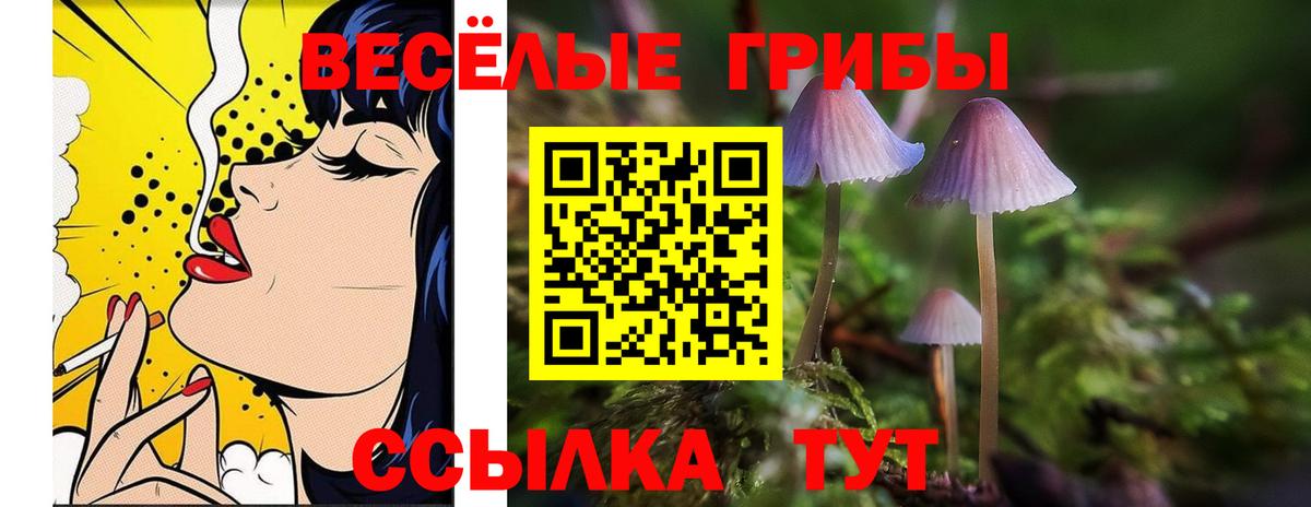 Галлюциногенные грибы Cubensis  Вход с VPN  Ногинск  Галлюциногенные грибы мухоморы 