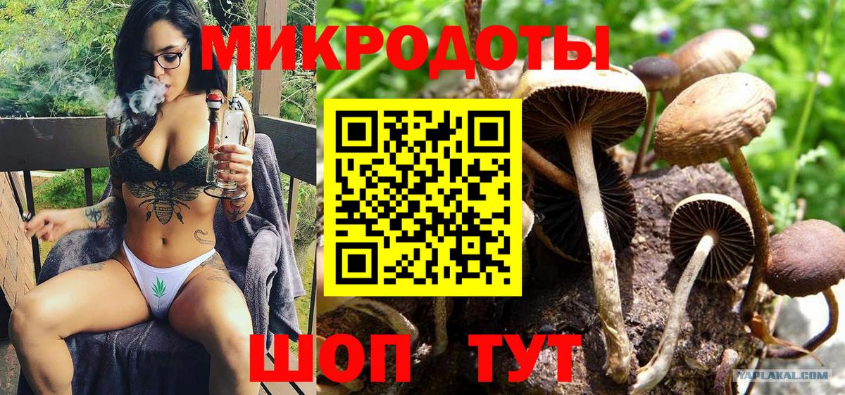 Псилоцибиновые грибы мицелий Ногинск