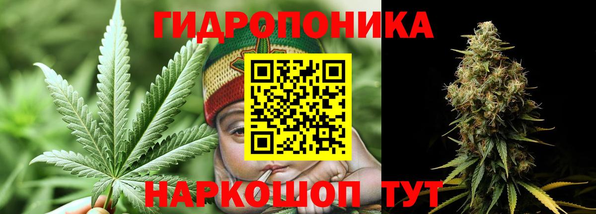 Ногинск  Бошки марихуана сатива  Вход с VPN  Бошки Шишки ГИДРОПОН  МАРИХУАНА MAZAR 